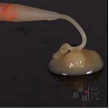 臨時假牙的材料從管中擠出